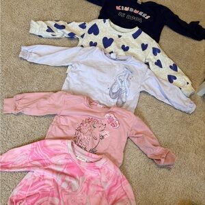 Girls' Long Sleeve Shirts Bundle Lot 3-4T